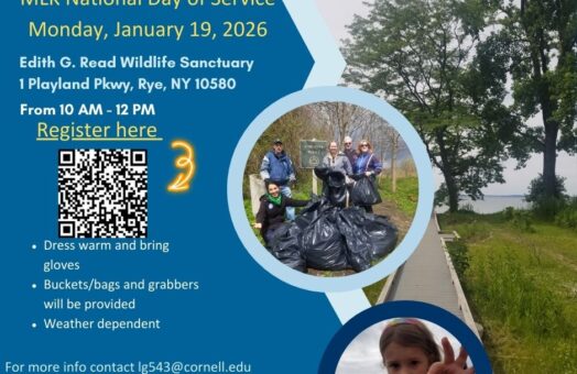 image for MLK National Day of Service Beach Clean-Up